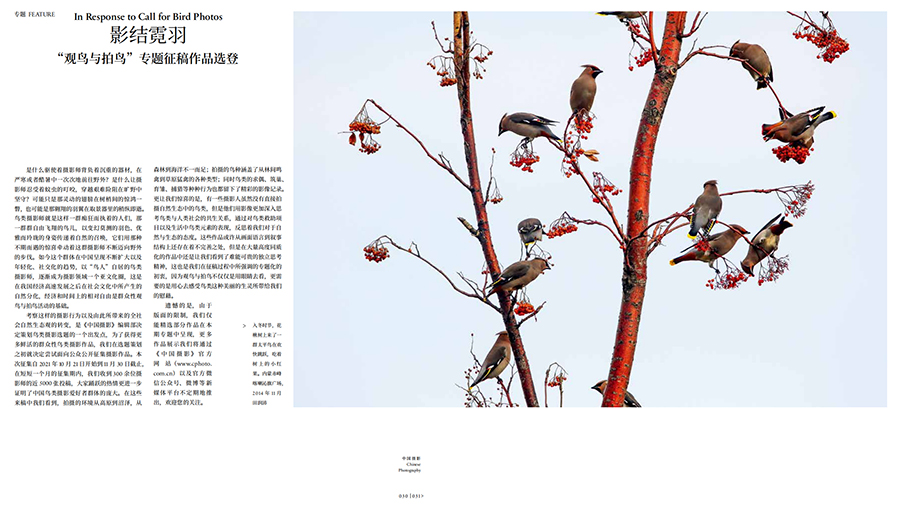 QQ截圖20211230155458 拷貝.jpg