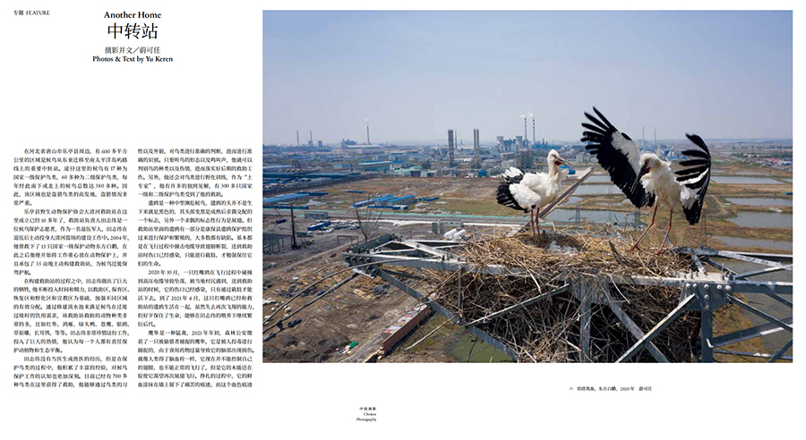 QQ截圖20211230155550 拷貝.jpg
