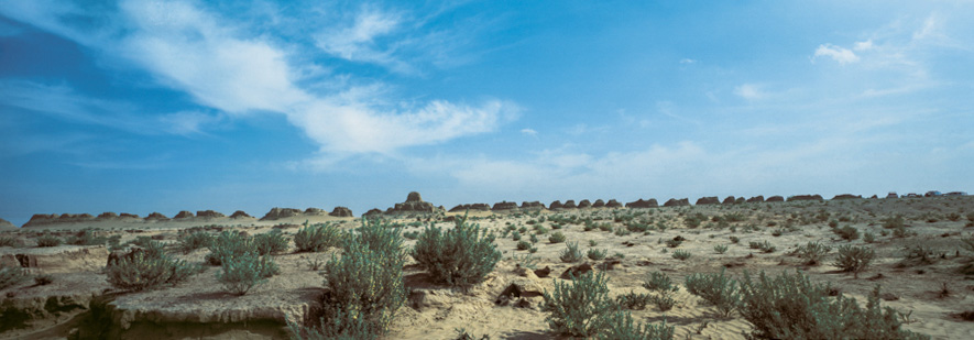 在戈壁灘上斷續(xù)漫延的明代土建長城，陜西定邊，1991年　何世堯.jpg