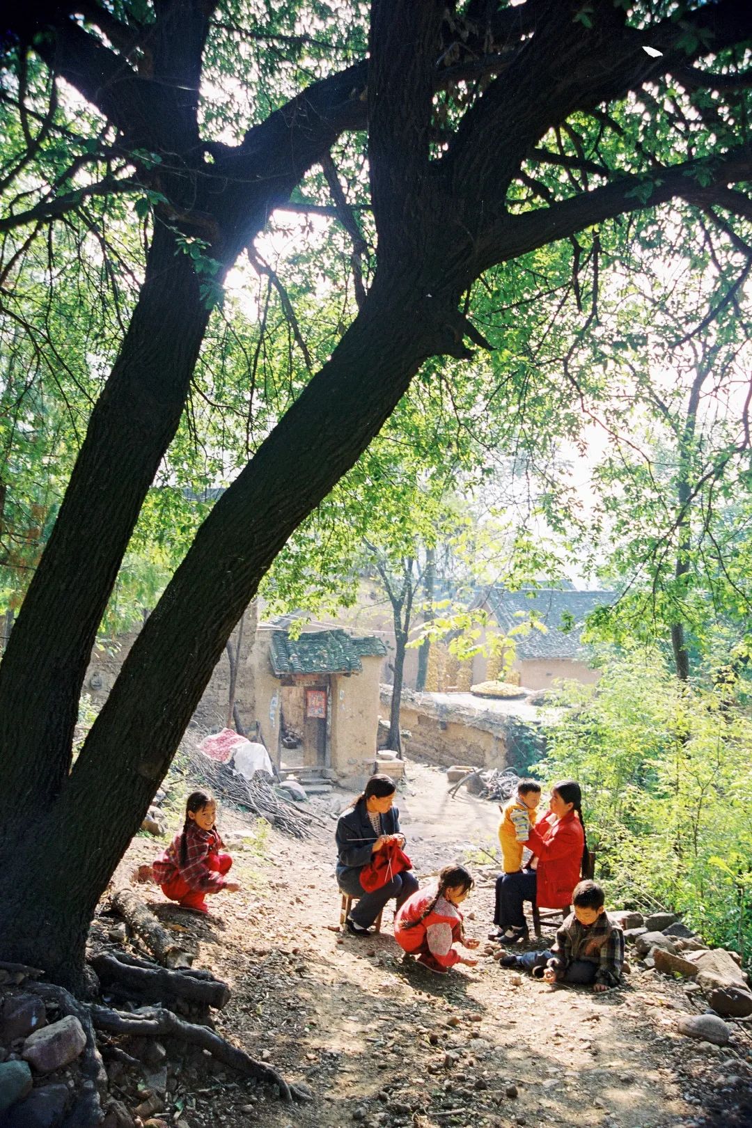 與母親的關系10.jpg