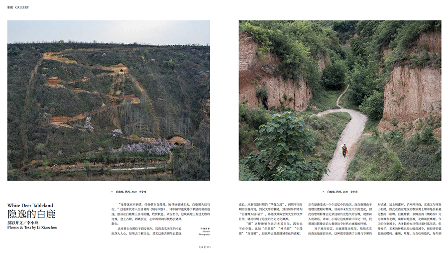 截圖20230329221501 拷貝.jpg