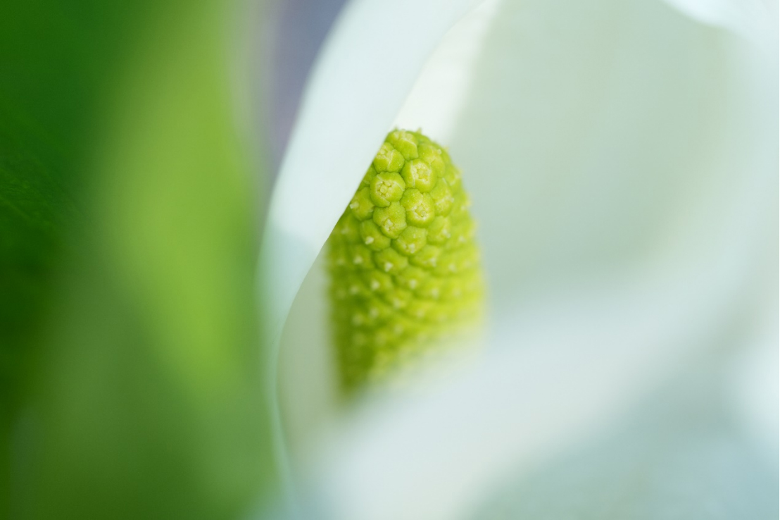 索尼發(fā)布新一代小三元FE 70-200mm F4 Macro G OSS II鏡頭996 拷貝.jpg