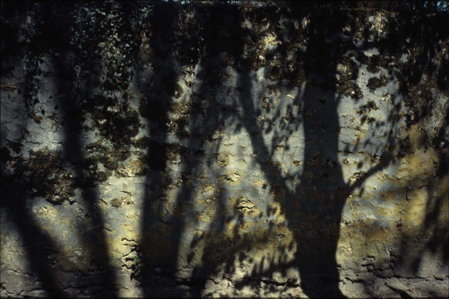 60.樹影牆（巴黎）paris-1980.jpg