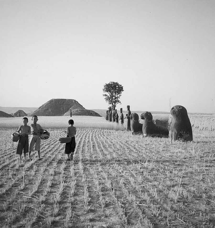 摘要3941 拷貝.jpg