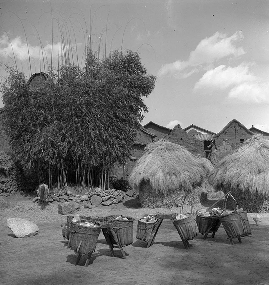 摘要7816 拷貝.jpg