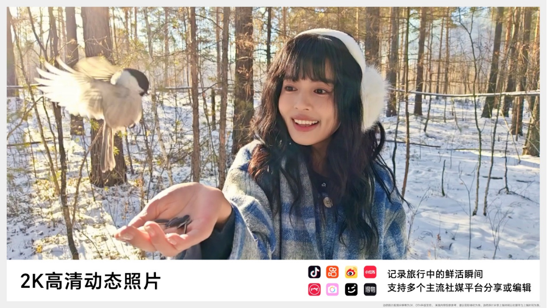 【產(chǎn)品新聞】AI旅拍神器榮耀300系列正式發(fā)布，打造史上最強數(shù)字系列1324 拷貝.jpg