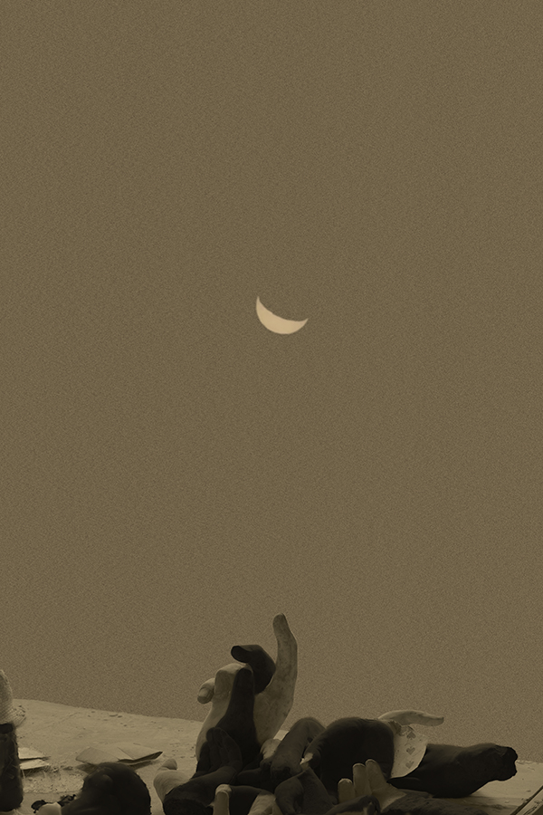 _DSF0089 拷貝.jpg